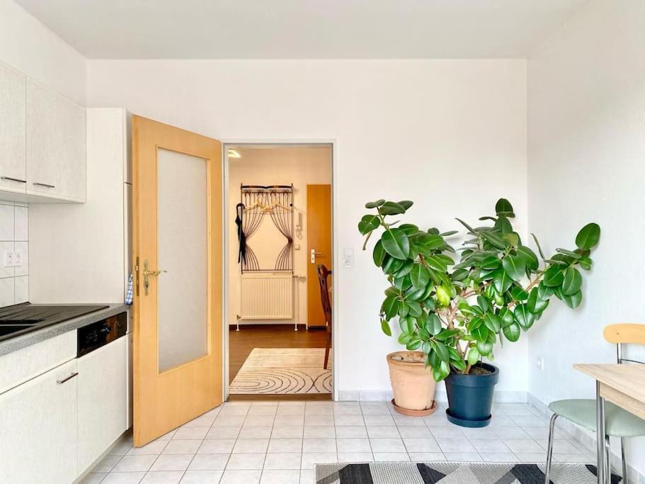 Apartment Luxus-oase In *